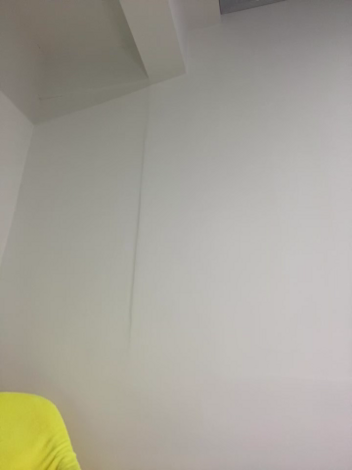 _Adisson_18