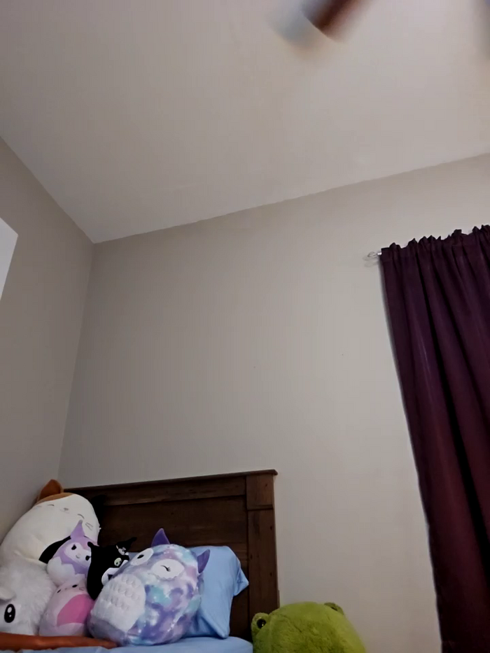 AmethystFoxx