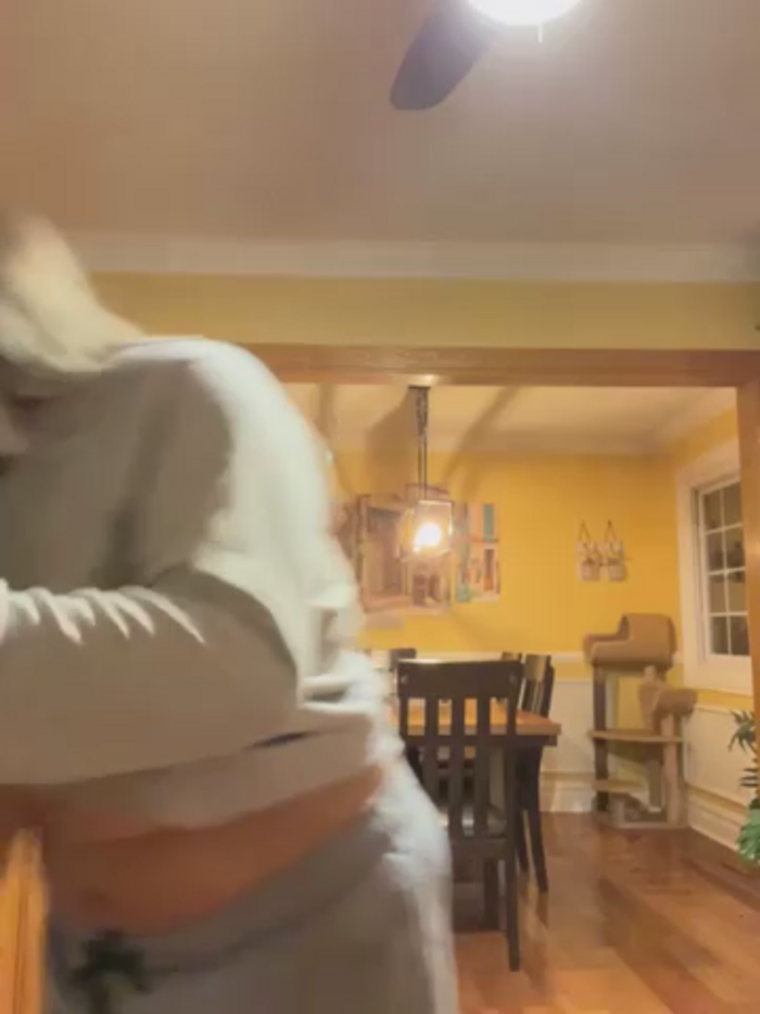 LittleMissEeve