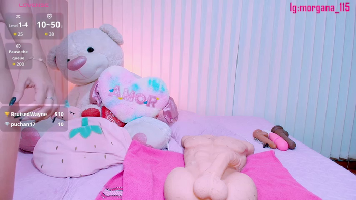 Anahimorgan1