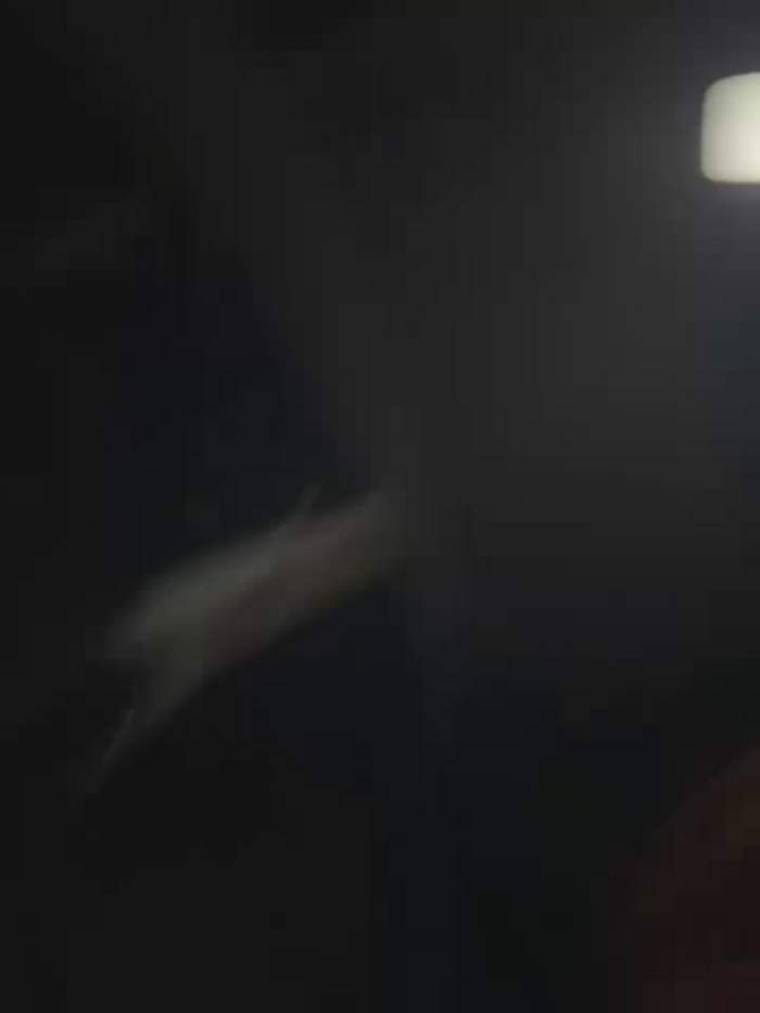 DoriDeluxe66