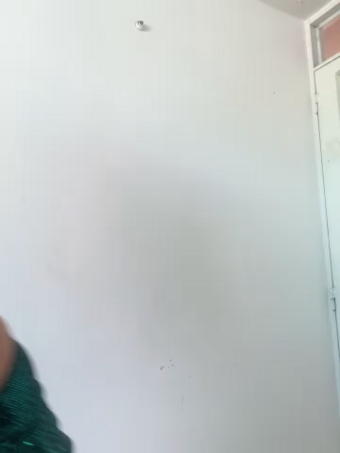 cuteluci_