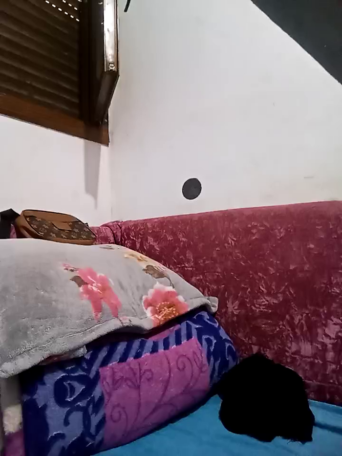 Nudeshou
