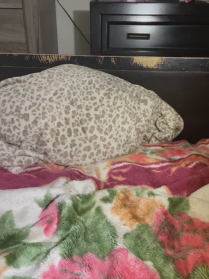 BustiBunny69