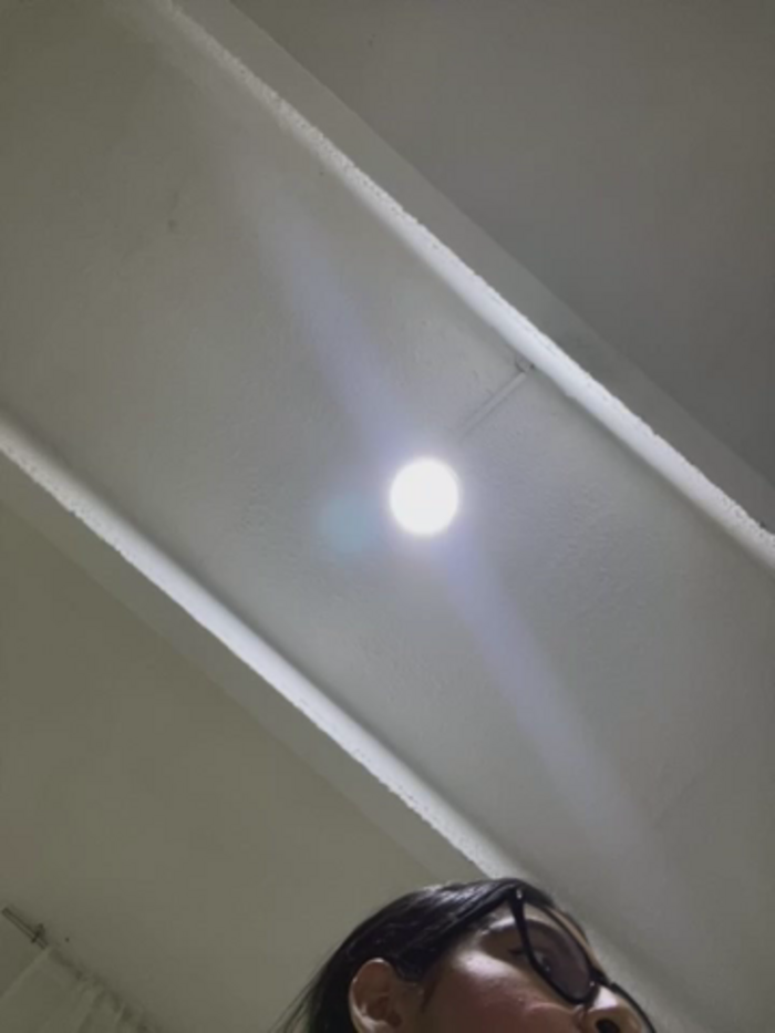 charlotte_stevenss_
