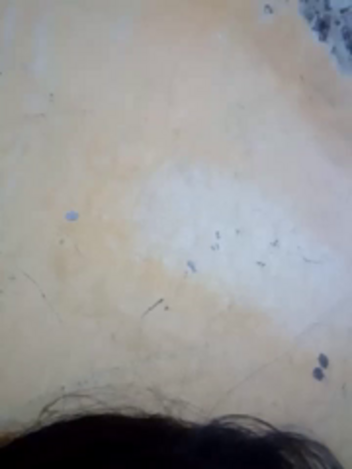 3USHA