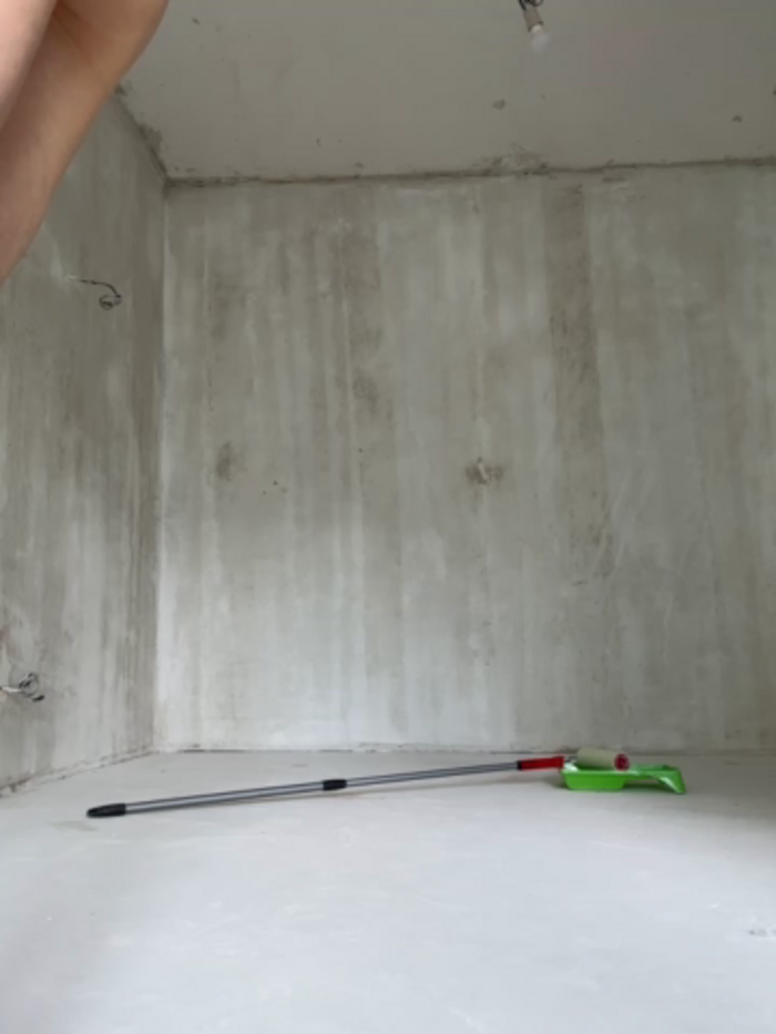 MollyStory