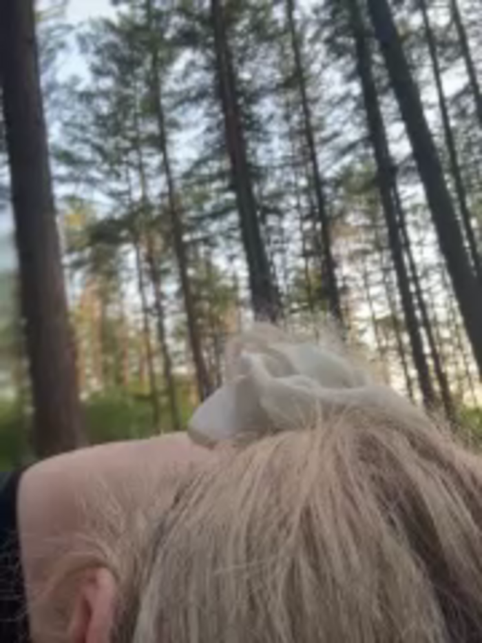 BabyCalipornia