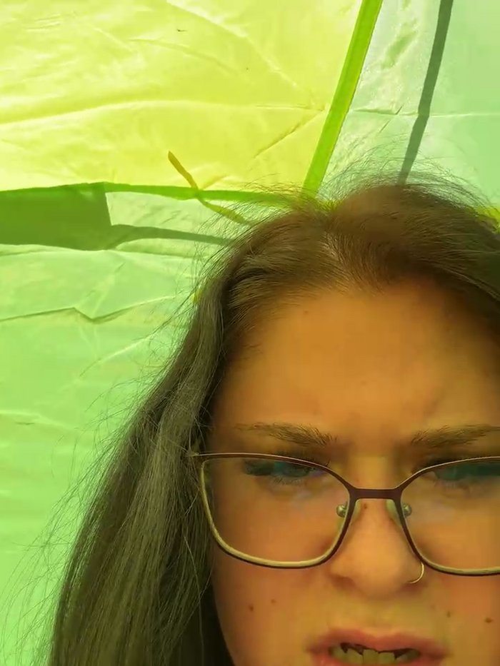 LisaNimmersatt