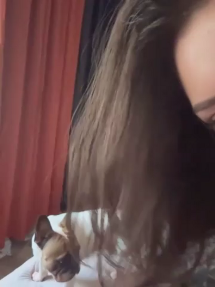 Musae
