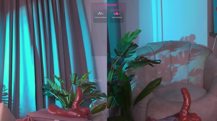 nicdani_1