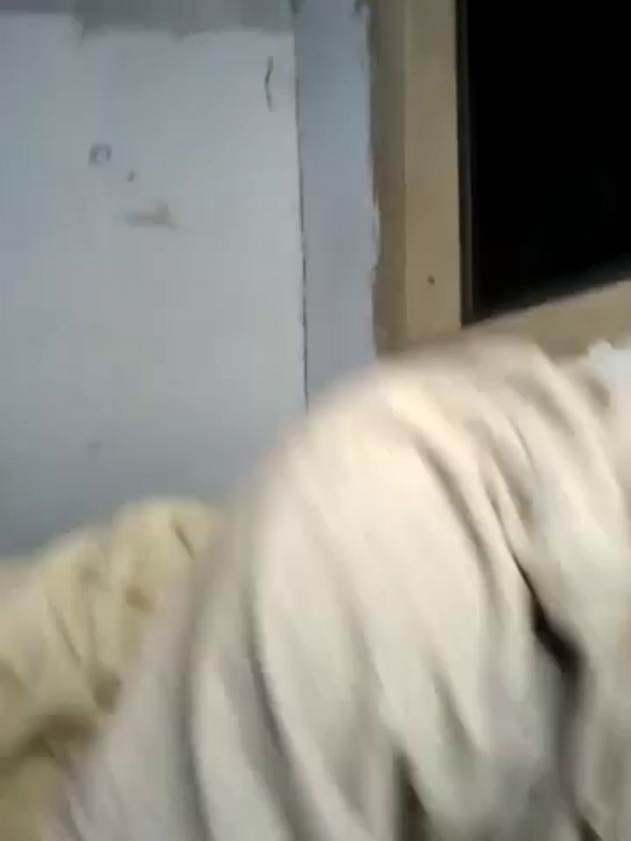 realafricansluts