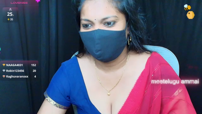 nehanya_telugu