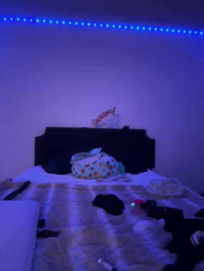 foxy_ana13