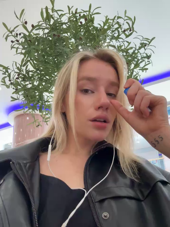 SSSATIVA_model