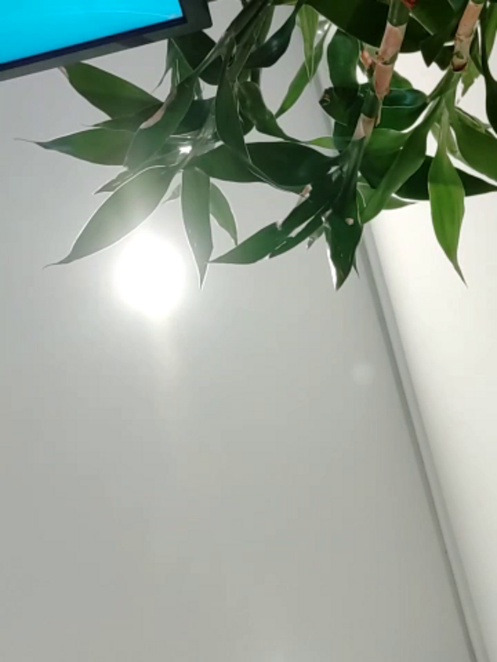 ialnuyoa_h