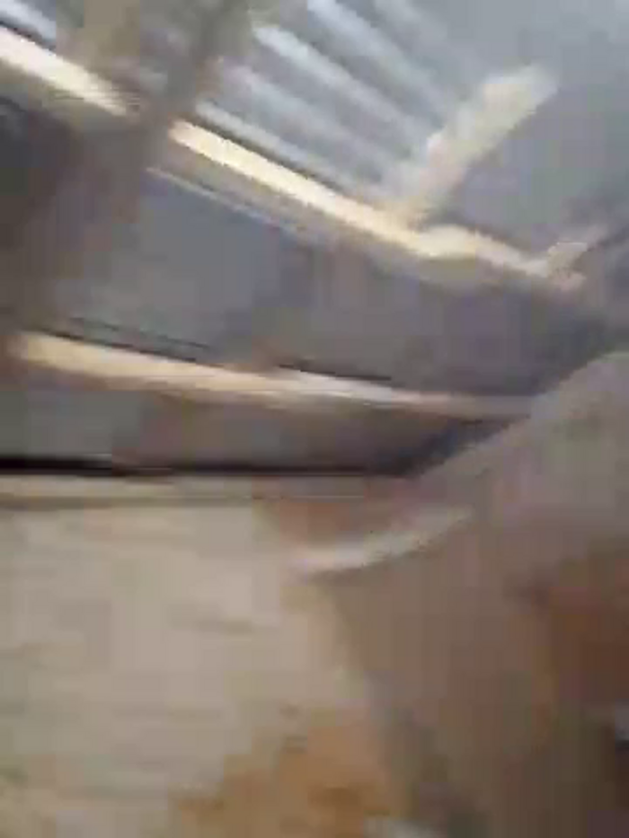 Sutra_Zorro