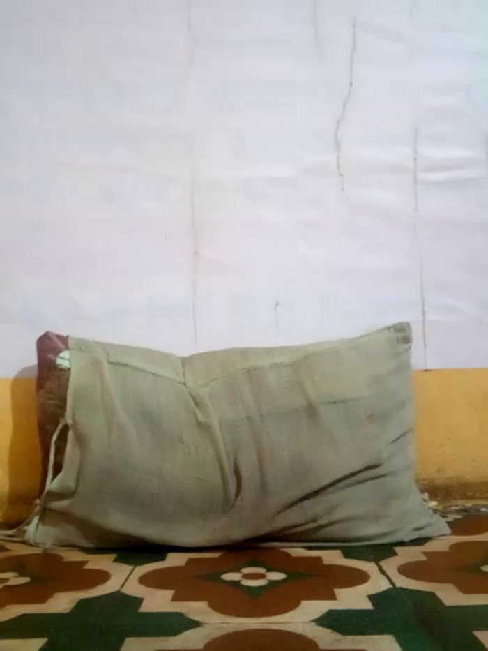 3USHA
