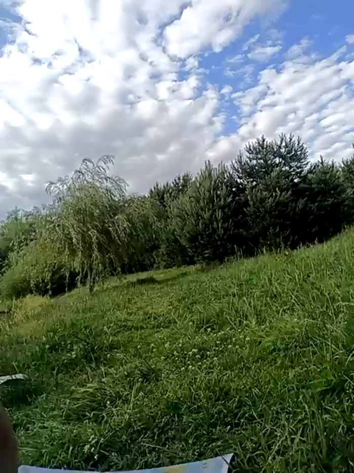 angel_demon17