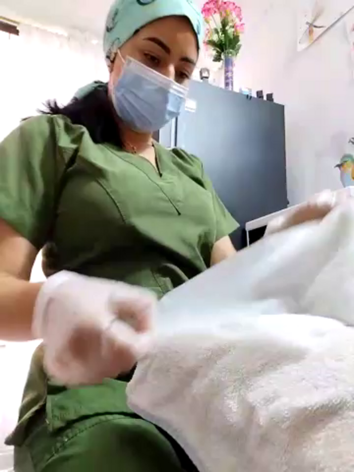 Luianna