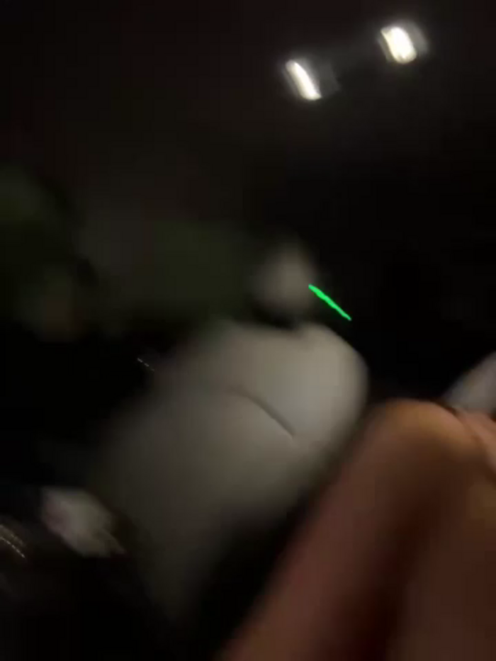 DoriDeluxe66