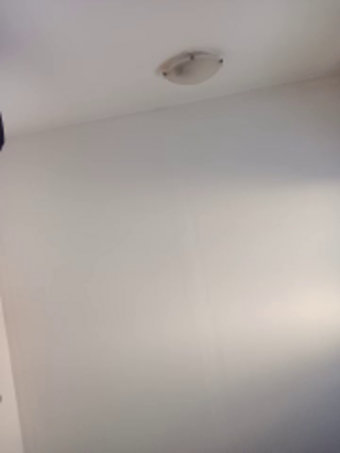 Virgin_Pussy_Love