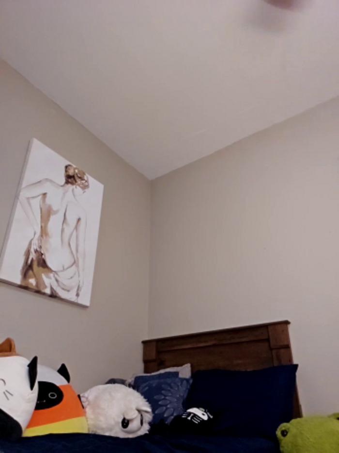 AmethystFoxx