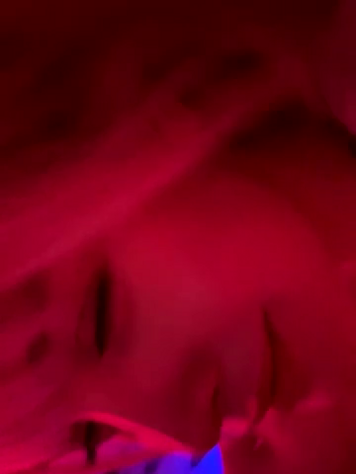 BellaSecrett