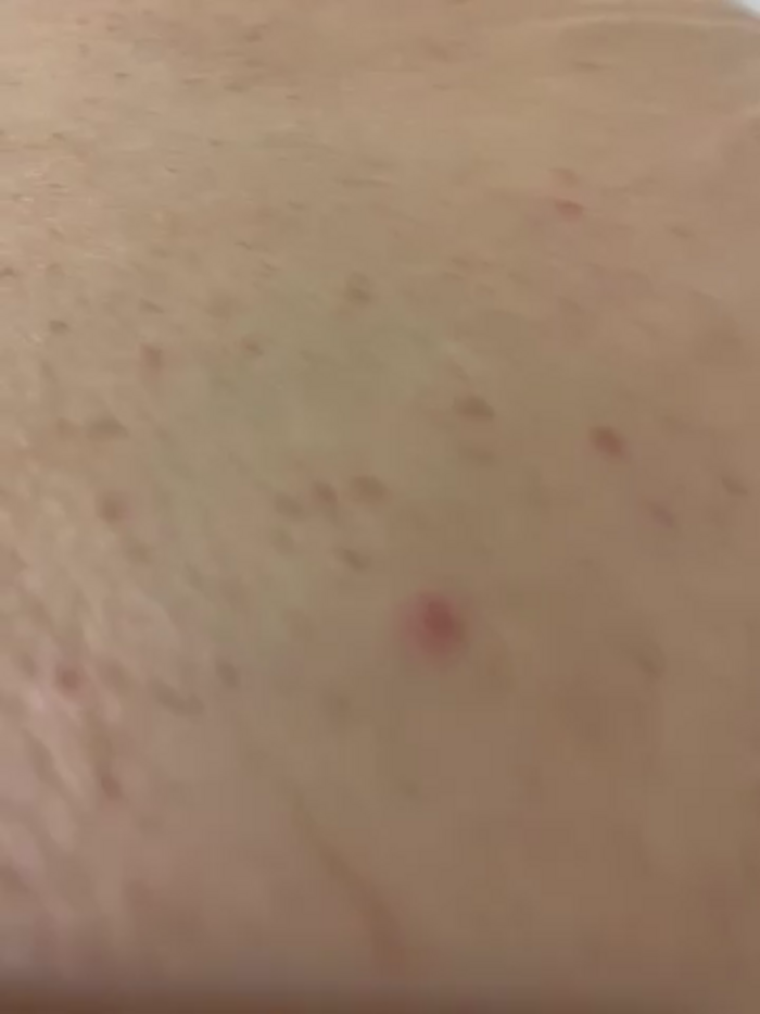 maskybellatr