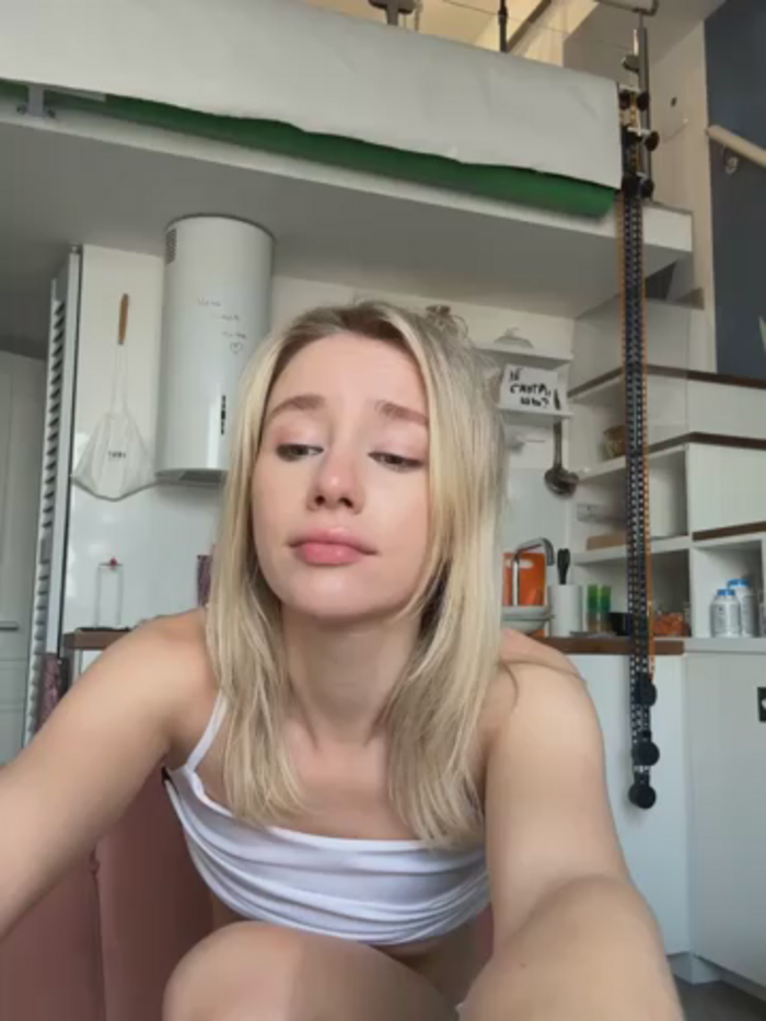 SSSATIVA_model