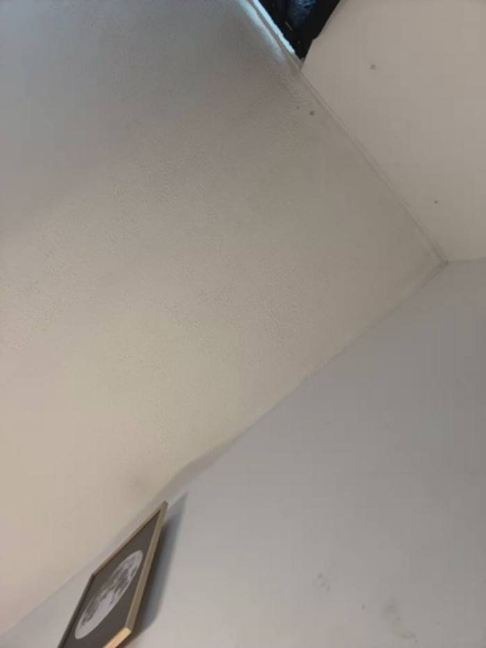 _Danna
