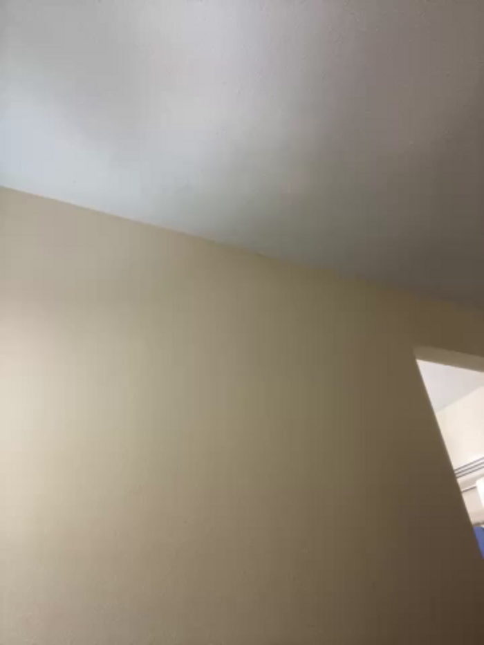 Kaylayoung12