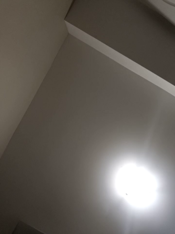 Veronica_Alvarezx