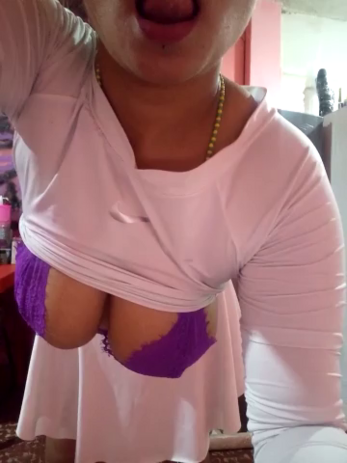gatadeojosclaros