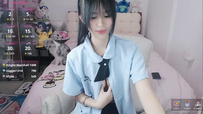 stupidcat5227