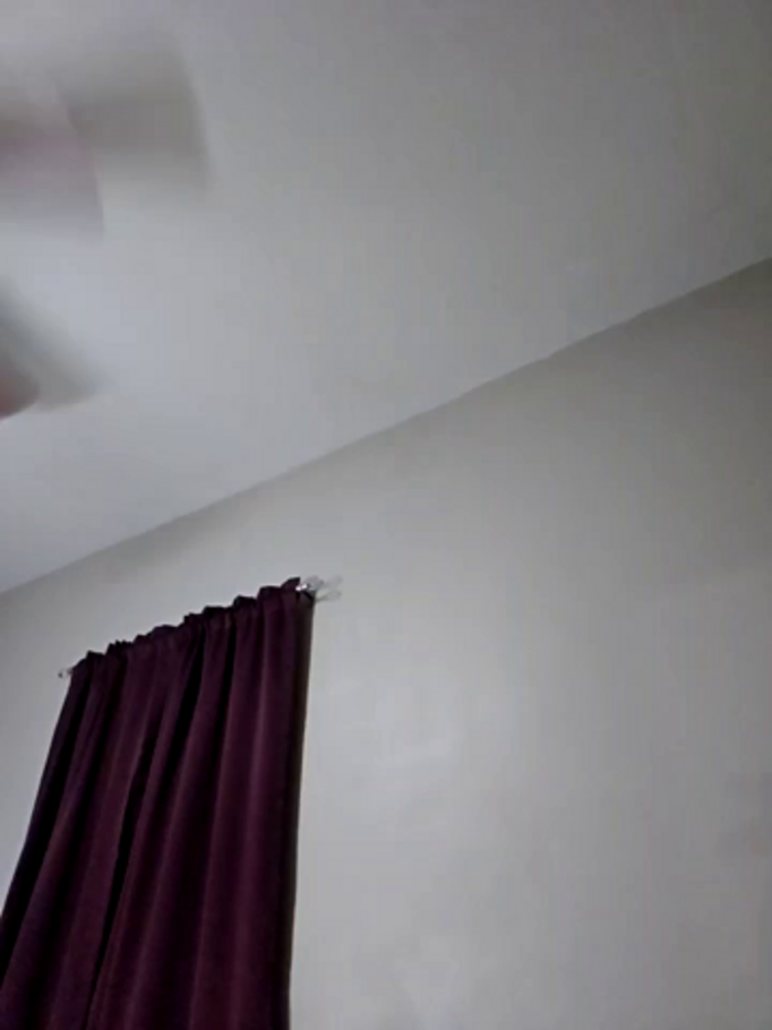 AmethystFoxx