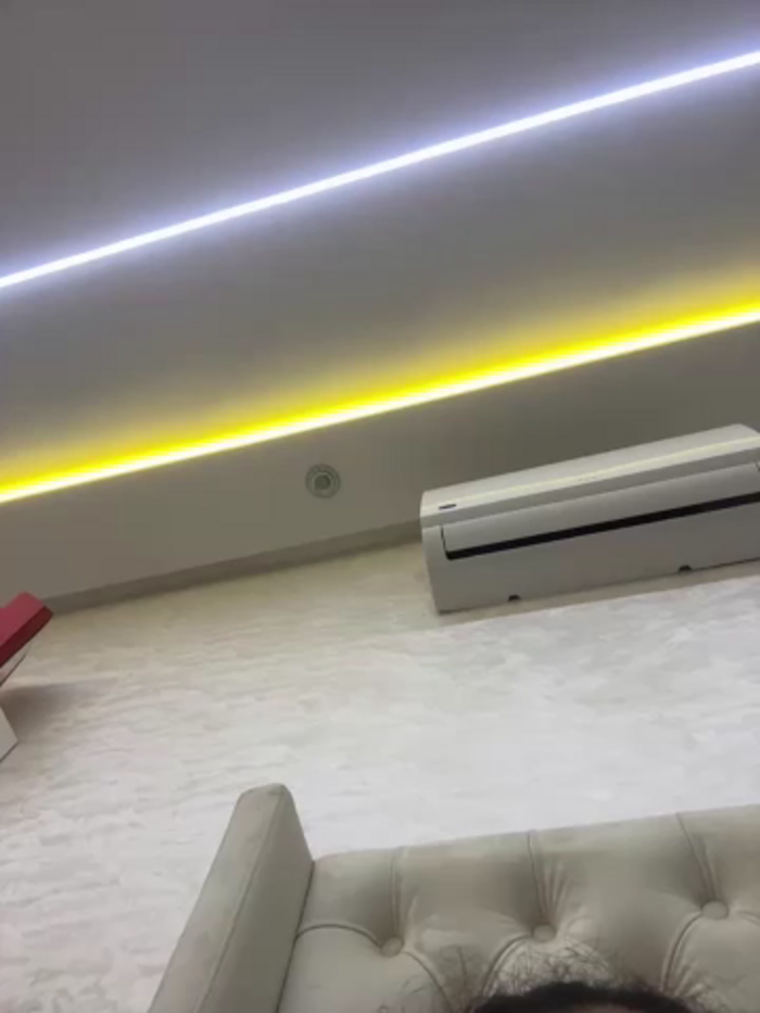 Bold-arabic-vibes