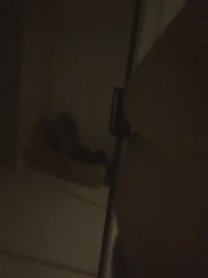 Thicke_phatass_dee