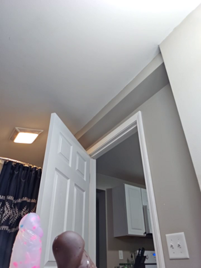 AmethystFoxx
