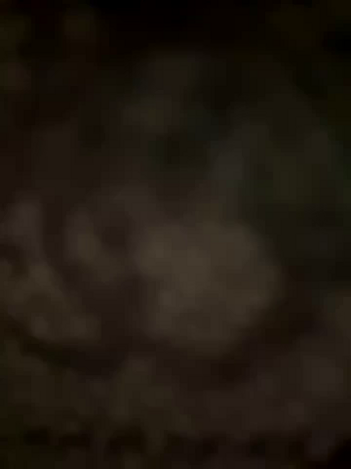 AngelinaTeller