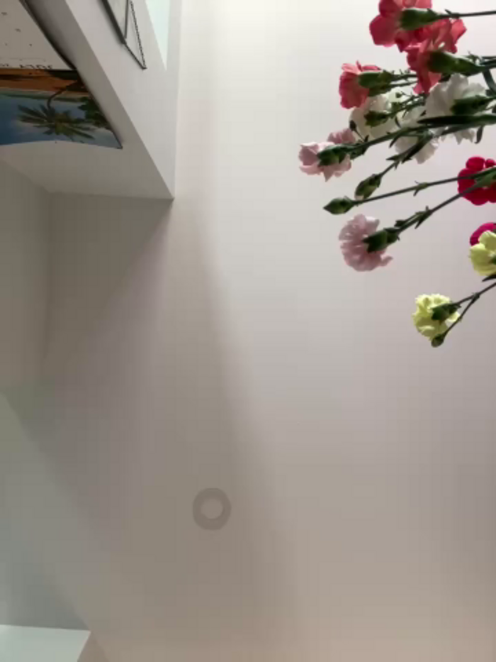 violetaurora95
