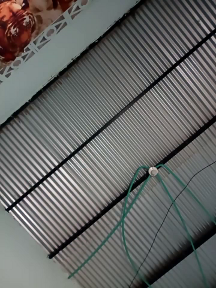 Bellota_22_Fuckme
