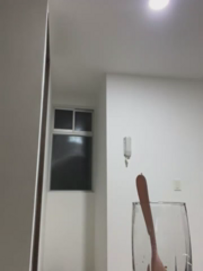 Vaneza_G1