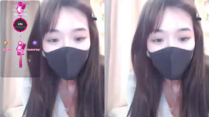 stella_lolio