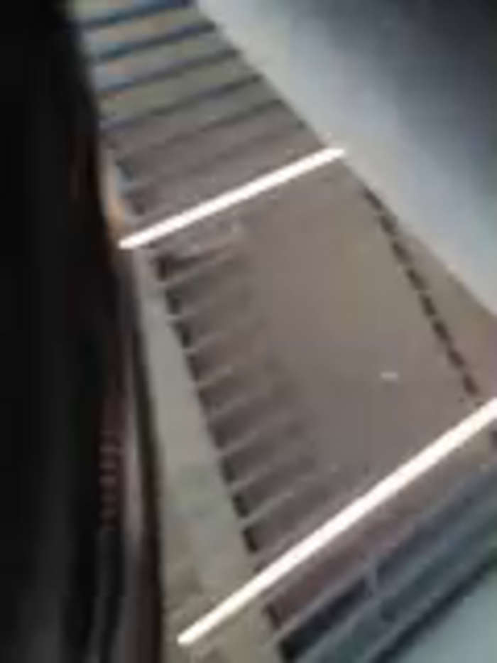 Bella_Gloria
