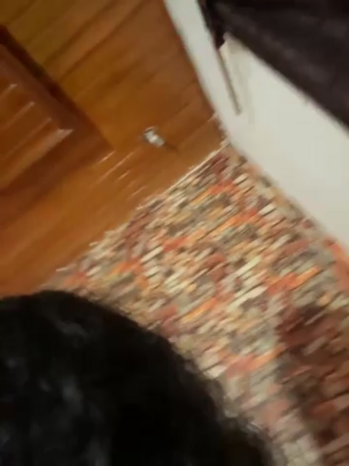 G_Poseidon_y_Cloe