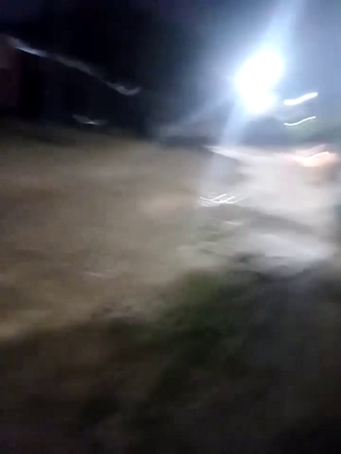 CurlyBitch