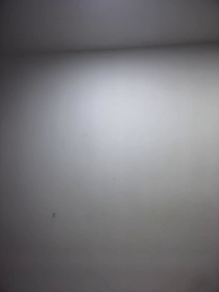 Insane_Issa