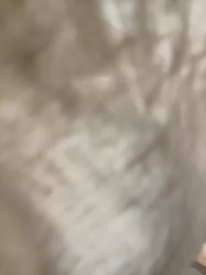 eveangelll