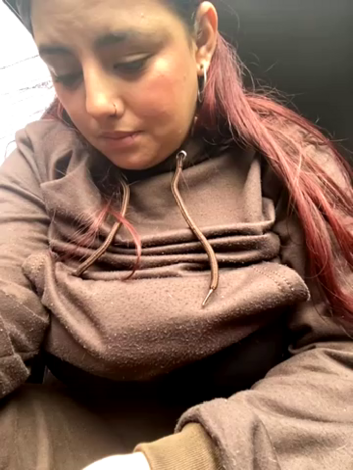 angelasm
